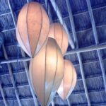 1923487 44390348918 6273 n